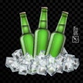 3d realistic transparent green beer bottles in ice cubes Royalty Free Stock Photo