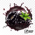3d realistic transparent isolated vector, blackberry a sprig in a splash of juice with drops, edible handmade mesh