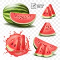 3d realistic transparent isolated vector set, whole and slice of watermelon, watermelon in a splash of juice with drops Royalty Free Stock Photo