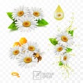 3d realistic vector chamomile flowers, chamomile with leaves, with honeycomb and a bee extracting honey and propolis, falling