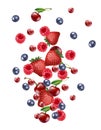 Realistic vector falling mix berry fruit banner, isolated on white blank background Royalty Free Stock Photo