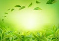 3d realistic vector horizontal banner, nature, tea plantation, green tea garden background with flying leaves for your design, ads