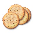 Realistic vector isolated illustration icon of salted crackers