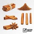 3d realistic vector set of cinnamon cinnamon sticks tied with a rope, anise stars and a pile of cinnamon