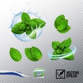 3D realistic vector set, transparent splash of water with a mint sprout, various options for mint leaves, a fresh whirlwind, a