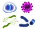 3D realistic viruses, bacteria and germ microbes Royalty Free Stock Photo