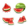 3d realistic watermelon, isolated slices and whole. Water melon tropical juice, natural fruit in splash and drops