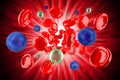 3D red blood cells, virus cells - inside vein Royalty Free Stock Photo