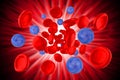 3D red blood cells, virus cells - inside vein Royalty Free Stock Photo