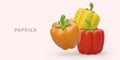 3D red, yellow, orange paprika. Ripe bell pepper. Vegetarian ingredient for summer dishes