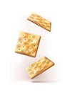 Relistic vector, Falling chrispy salty crackers. Isolated