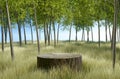 3d render Abstact stage podium background, Log tree podium on the meadow grass in forest with big tree and blue sky for product Royalty Free Stock Photo