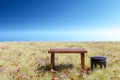 3d render Abstact stage podium background, wooden table and chair podium on the flowers and dry grass field backdrop blue sky for Royalty Free Stock Photo