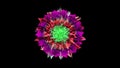 3d render abstract animation of symmetrical multicolor compound polychora with struts