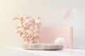 3d render of abstract pedestal podium display with Tropical leaves and coral pink pastel plant scene. Product and promotion