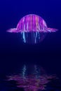 3d render. abstract UFO landscape or super-technological balloon object hanging over the water sea protects the environment Royalty Free Stock Photo