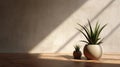 3d Render Of Aloe And Potted Plant With Sun Light On Experimental Pottery Style