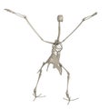 3d render of bird skeleton