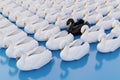 Black swan event - term for a very seldom event with a major effect often resulting in a stock market crash. Royalty Free Stock Photo