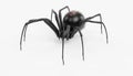 3D Render of Black Widow Spider Royalty Free Stock Photo