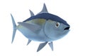 3d render of blackfin tuna Royalty Free Stock Photo