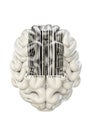 Barcode brain