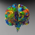 Brain colored illustration