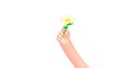 3d render cartoon business hand, chamomile flower