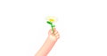 3d render cartoon business hand, chamomile flower