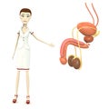Cartoon nurse with male reproductive system
