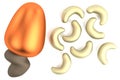 3d render of cashew Royalty Free Stock Photo