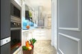 3d render classic kitchen