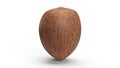 3d render coconut brown on a white background vertically Royalty Free Stock Photo