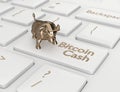3d render of computer keyboard with BITCOIN CASH button Royalty Free Stock Photo