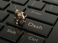 3d render of computer keyboard with Dash button