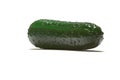 3D Render of Cucumber
