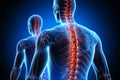 3D render depicting correct and poor posture, highlighting the spine