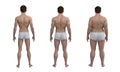 3D Render : the diversity of male body shape including ectomorph, mesomorph, endomorph Royalty Free Stock Photo