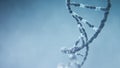 3d render of DNA strucrure Royalty Free Stock Photo