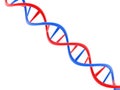 3d Illustration of DNA structure in white background Royalty Free Stock Photo