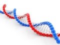 3d Illustration of DNA structure in white background Royalty Free Stock Photo