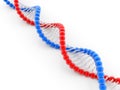 3d Illustration of DNA structure in white background Royalty Free Stock Photo