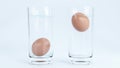 3d render of Egg in water test on transparent glass , Egg freshness test on color background , Bad egg floats in water Royalty Free Stock Photo