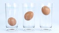 3d render of Egg in water test on transparent glass , Egg freshness test on white background , Bad egg floats in water Royalty Free Stock Photo