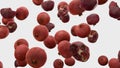 3d render Falling pomegranate on a white background