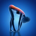 3D female figure in bent over position with back highlighted