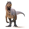 3d render of ferocious Allosaurus Royalty Free Stock Photo