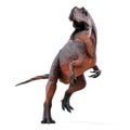 3d render of ferocious dinosaur Royalty Free Stock Photo