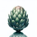 3D Render of A Fresh Green Artichoke Royalty Free Stock Photo
