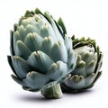 3D Render of A Fresh Green Artichoke